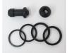 Brake caliper seal kit for rear caliper